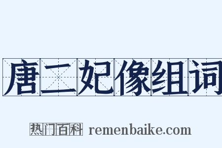 唐二妃像组词是什么意思的图片